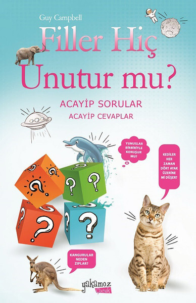 Filler Hiç Unutur Mu?