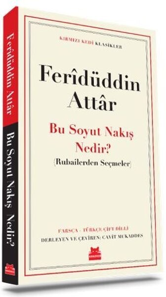 Bu Soyut Nakış Nedir? - Rubailerden Seçmeler - Kırmızı Kedi Klasikler