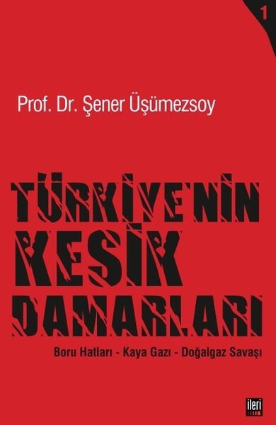 Türkiye'nin Kesik Damarları