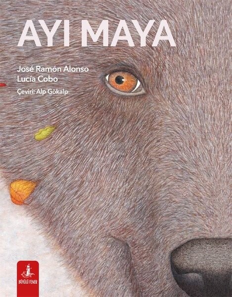 Ayı Maya - Renkli Resimli