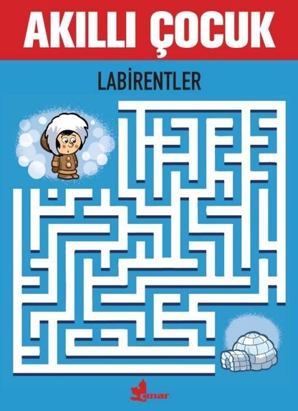 Akıllı Çocuk - Labirentler