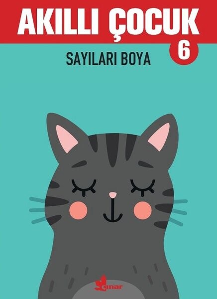 Akıllı Çocuk - Sayıları Boya