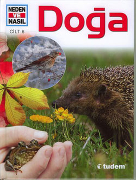Neden ve Nasıl Cilt 6 - Doğa
